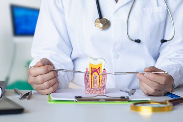 Best Dentist for Severe Toothache  in Half Moon, NC